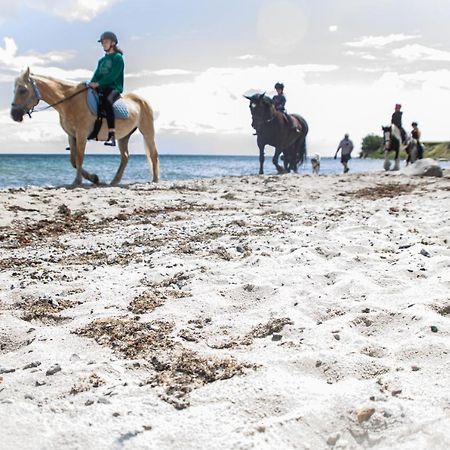 Meislahnhof Fehmarn Buitenkant foto