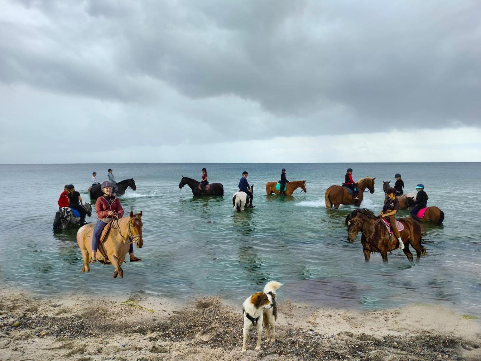 Meislahnhof Fehmarn Buitenkant foto